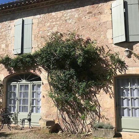 Domaine De La Durantie Duplex Vieux Chateau Castelnau-de-Montmiral Kültér fotó