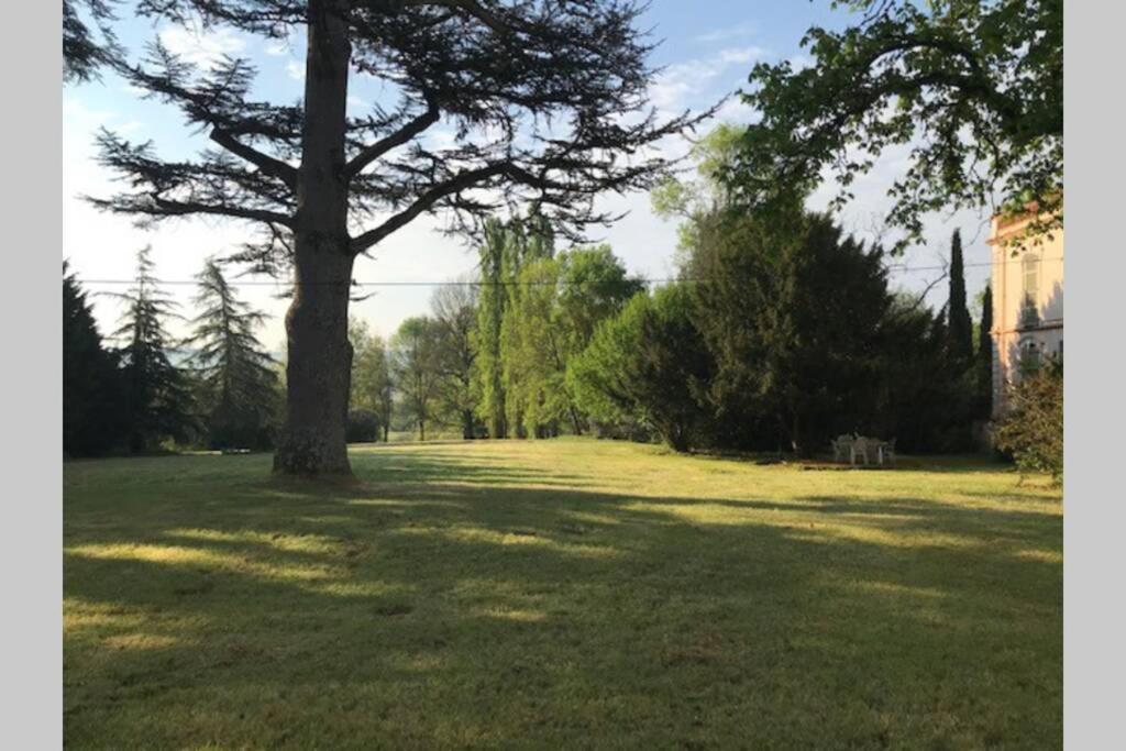 Domaine De La Durantie Duplex Vieux Chateau Castelnau-de-Montmiral Kültér fotó