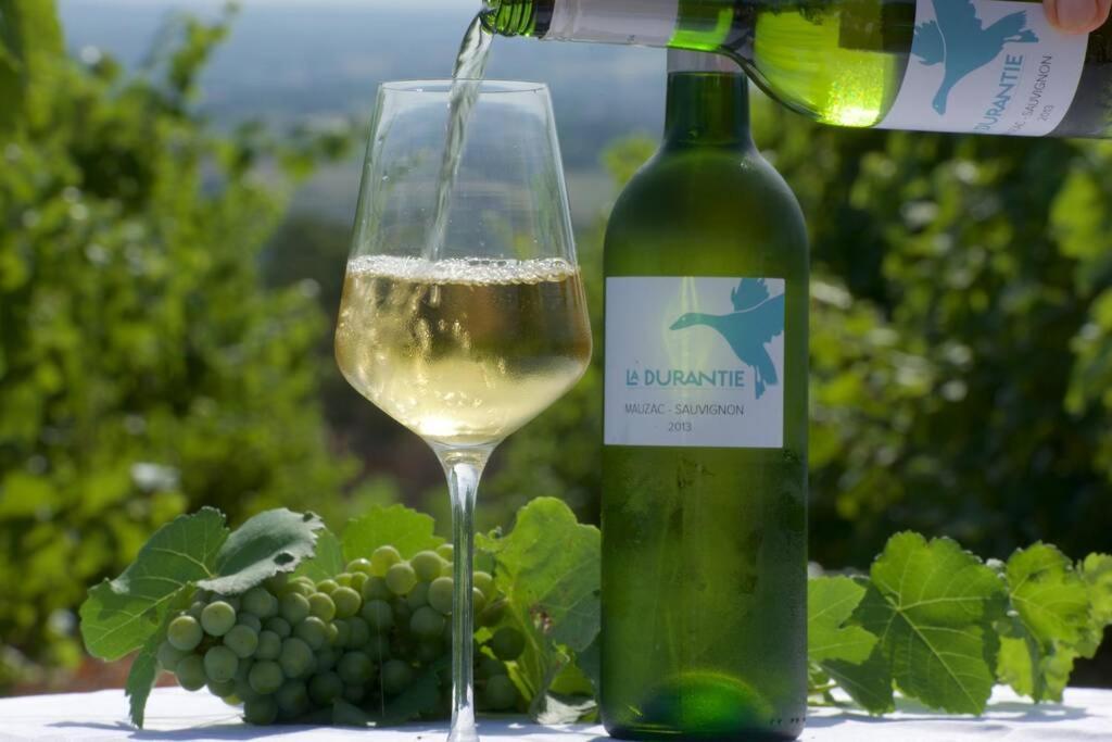 Domaine De La Durantie Duplex Vieux Chateau Castelnau-de-Montmiral Kültér fotó