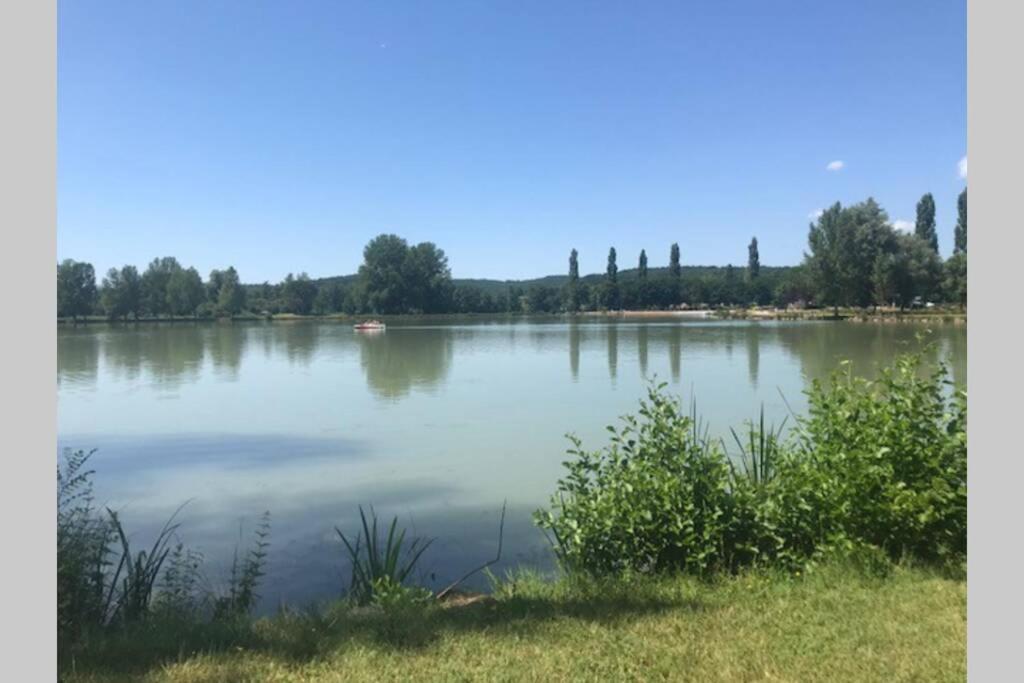 Domaine De La Durantie Duplex Vieux Chateau Castelnau-de-Montmiral Kültér fotó