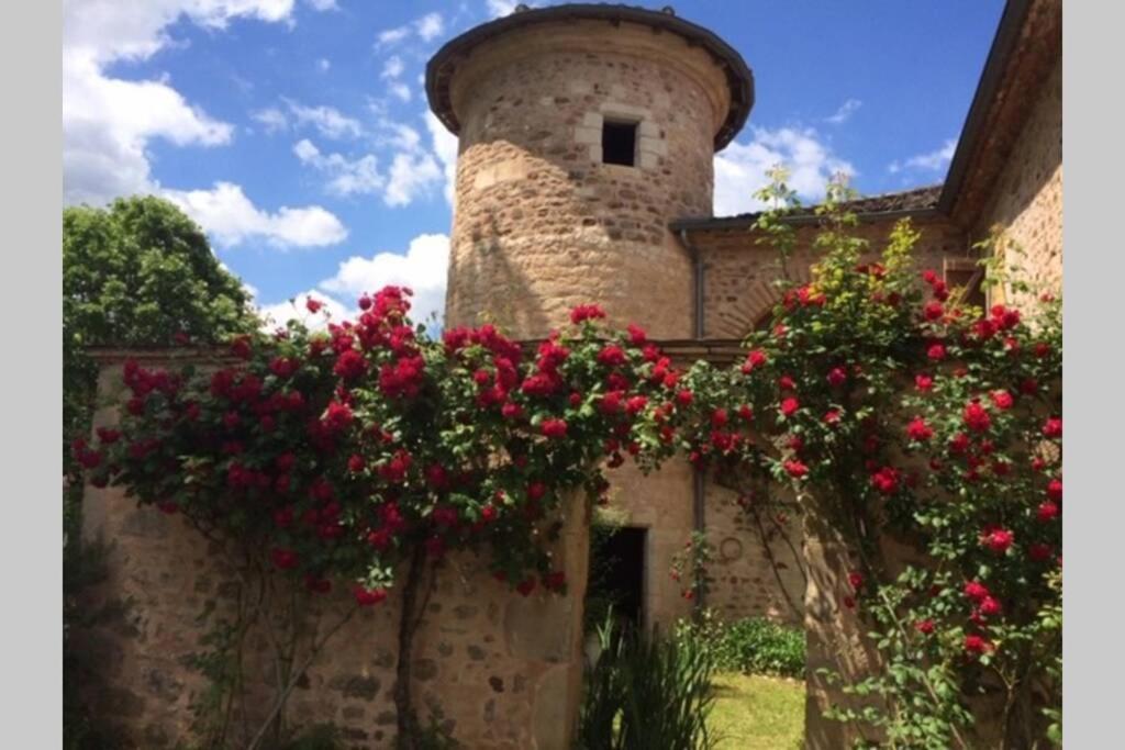 Domaine De La Durantie Duplex Vieux Chateau Castelnau-de-Montmiral Kültér fotó
